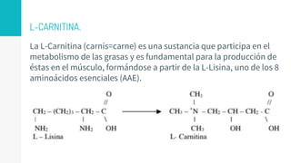 L-CARNITINA.
La L-Carnitina (carnis=carne) es una sustancia que participa en el
metabolismo de las grasas y es fundamental para la producción de
éstas en el músculo, formándose a partir de la L-Lisina, uno de los 8
aminoácidos esenciales (AAE).
 