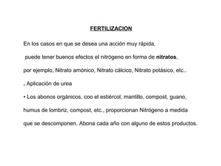 FERTILIZACION 
En los casos en que se desea una acción muy rápida, 
puede tener buenos efectos el nitrógeno en forma de nitratos, 
por ejemplo, Nitrato amónico, Nitrato cálcico, Nitrato potásico, etc.. 
. Aplicación de urea 
• Los abonos orgánicos, coo el estiércol, mantillo, compost, guano, 
humus de lombriz, compost, etc., proporcionan Nitrógeno a medida 
que se descomponen. Abona cada año con alguno de estos productos. 
 