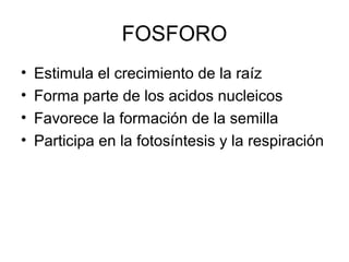 FOSFORO 
• Estimula el crecimiento de la raíz 
• Forma parte de los acidos nucleicos 
• Favorece la formación de la semilla 
• Participa en la fotosíntesis y la respiración 
 