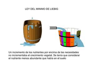 LEY DEL MINIMO DE LIEBIG 
Un incremento de los nutrientes por encima de las necesidades 
no incrementaba el crecimiento vegetal. Se tenía que considerar 
el nutriente menos abundante que había en el suelo 
 