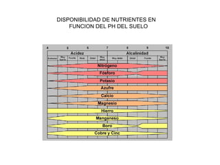 DISPONIBILIDAD DE NUTRIENTES EN 
FUNCION DEL PH DEL SUELO 
 