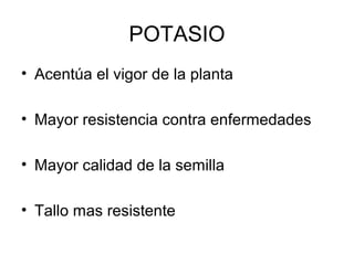 POTASIO 
• Acentúa el vigor de la planta 
• Mayor resistencia contra enfermedades 
• Mayor calidad de la semilla 
• Tallo mas resistente 
 