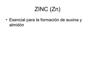 ZINC (Zn) 
• Esencial para la formación de auxina y 
almidón 
 