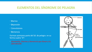 ELEMENTOS DEL SÍNDROME DE PELAGRA
 Diarrea
 Depresión
 Convulsiones
 Demencia
Forman asimismo parte del Sd. de pelagra en su
forma cuatro "D":
 Dermatitis, Diarrea y Demencia que llevan a la
DEFUNCIÓN
 