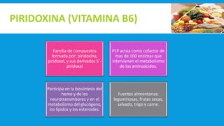 PIRIDOXINA (VITAMINA B6)
Familia de compuestos
formada por: piridoxina,
piridoxal, y sus derivados 5’-
piridoxal
PLP actúa como cofactor de
mas de 100 enzimas que
intervienen el metabolismo
de los aminoácidos.
Participa en la biosíntesis del
hemo y de los
neurotransmisores y en el
metabolismo del glucógeno,
los lípidos y los esteroides.
Fuentes alimentarias:
leguminosas, frutas secas,
salvado, trigo y carne.
 