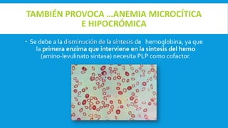 TAMBIÉN PROVOCA …ANEMIA MICROCÍTICA
E HIPOCRÓMICA
 Se debe a la disminución de la síntesis de hemoglobina, ya que
la primera enzima que interviene en la síntesis del hemo
(amino-levulinato sintasa) necesita PLP como cofactor.
 