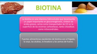 BIOTINA
La biotina es una vitamina hidrosoluble que desempeña
un papel importante en gluconeogénesis, síntesis de
ácidos grasos, actúa como transportador de CO en la
superficie de las enzimas carboxilasas, tanto citosólicas
como mitocondriales.
Fuentes alimenticias excelentes de biotina son el hígado,
la soya, las alubias, la levadura y las yemas de huevo.
 