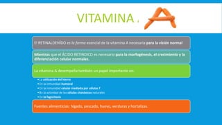VITAMINA A
El RETINALDEHÍDO es la forma esencial de la vitamina A necesaria para la visión normal
Mientras que el ÁCIDO RETINOICO es necesario para la morfogénesis, el crecimiento y la
diferenciación celular normales.
La vitamina A desempeña también un papel importante en:
•La utilización del hierro
•En la inmunidad humoral
•En la inmunidad celular mediada por células T
•En la actividad de las células citotóxicas naturales
•En la fagocitosis
Fuentes alimenticias: hígado, pescado, huevo, verduras y hortalizas.
 