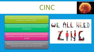 CINC
Interviene en la síntesis y estabilización de las
proteínas, el DNA, el RNA.
Ejerce una función estructural en los ribosomas y las
membranas
Necesario para la unión de los receptores de hormonas
esteroideas y de varios otros factores de transcripción
al DNA
Absolutamente necesario para la espermatogénesis,
crecimiento fetal y desarrollo embrionario.
 