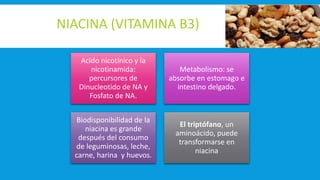 NIACINA (VITAMINA B3)
Acido nicotínico y la
nicotinamida:
percursores de
Dinucleotido de NA y
Fosfato de NA.
Metabolismo: se
absorbe en estomago e
intestino delgado.
Biodisponibilidad de la
niacina es grande
después del consumo
de leguminosas, leche,
carne, harina y huevos.
El triptófano, un
aminoácido, puede
transformarse en
niacina
 