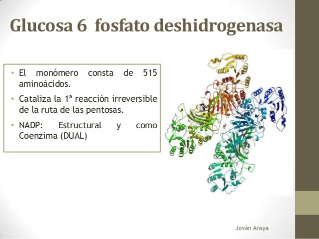 Deficiencia glucosa 6 fosfato deshidrogenasa Deficiencia glucosa 6 fosfato deshidrogenasa