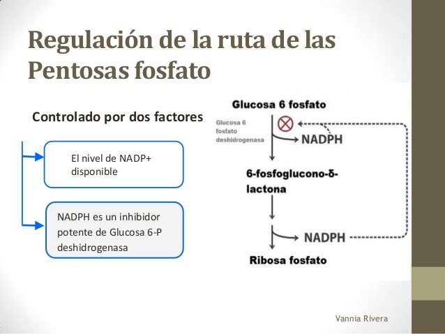 Deficiencia glucosa 6 fosfato deshidrogenasa Deficiencia glucosa 6 fosfato deshidrogenasa
