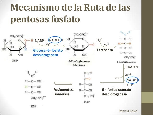 Deficiencia glucosa 6 fosfato deshidrogenasa Deficiencia glucosa 6 fosfato deshidrogenasa