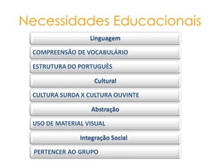 Necessidades Educacionais 
