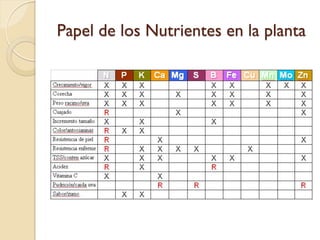 Papel de los Nutrientes en la planta
 