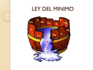 LEY DEL MINIMO
     S                    P
Cu        Na   Ca             Mo
                     fe

C                              N
                    Mg    K
     Zn

               B
 