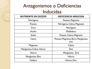 Antagonismos o Deficiencias
           Inducidas
NUTRIENTE EN EXCESO           DEFICIENCIA INDUCIDA
       Nitrógeno                   Potasio, Magnesio
        Potasio               Nitrógeno, Calcio, Magnesio
         Coro                          Nitrógeno
        Azufre                         Molibdeno
         Sodio                  Potasio, Calcio, Magnesio
         Calcio            Potasio, Magnesio, Boro, Manganeso,
                                          zinc
       Magnesio                          Calcio
Manganeso, Cobre, Hierro                  Zinc
        Hierro                      Manganeso, Zinc
    Manganeso, ZInc                      Hierro
        Fosforo                       Hierro, Zinc
 