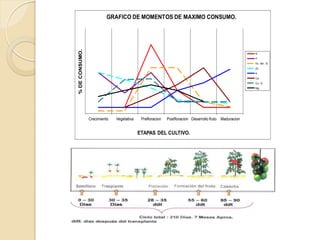 GRAFICO DE MOMENTOS DE MAXIMO CONSUMO.




% DE CONSUMO.
                                                                                                       N
                                                                                                       P
                                                                                                       Fe - Mn - B.
                                                                                                       Zn.
                                                                                                       K.
                                                                                                       Ca.
                                                                                                       Cu - S.
                                                                                                       Mg.




                Crecimiento   Vegetativa    Prefloracion   Postfloracion Desarrollo fruto Maduracion


                                           ETAPAS DEL CULTIVO.
 