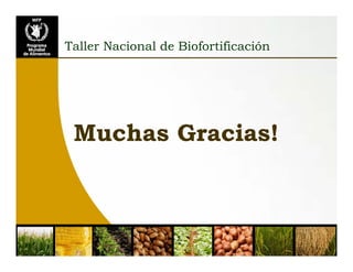 Situación de las deficiencias nutriconales en América Latina y el Caribe. Estrategias de Intervención