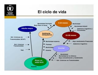 Situación de las deficiencias nutriconales en América Latina y el Caribe. Estrategias de Intervención