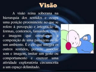 Visão
A visão reina soberana na
hierarquia dos sentidos e ocupa
uma posição proeminente no que se
refere à percepção e integração de
formas, contornos, tamanhos, cores
e imagens que estruturam a
composição de uma paisagem ou de
um ambiente. É o elo que integra os
outros sentidos, permite associar
som e imagem, imitar um gesto ou
comportamento e exercer uma
atividade exploratória circunscrita
a um espaço delimitado.
 