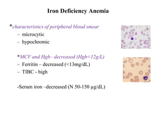 Iron Deficiency Anemia
*characteristics of peripheral blood smear
– microcytic
– hypochromic
*MCV and Hgb– decreased (Hgb<12g/L)
– Ferritin – decreased (<13mg/dL)
– TIBC - high
-Serum iron –decreased (N 50-150 µg/dL)
 