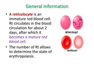 General information
• A reticulocyte is an
immature red blood cell.
Rt circulates in the blood
circulation for about 2
days, after which it
becomes a mature red
blood cell.
• The number of Rt allows
to determine the state of
erythropoiesis.
 