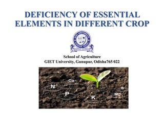 DEFICIENCY OF ESSENTIAL
ELEMENTS IN DIFFERENT CROP
School of Agriculture
GIET University, Gunupur, Odisha765 022
 
