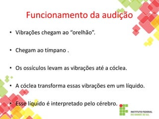 Funcionamento da audição
• Vibrações chegam ao “orelhão”.
• Chegam ao tímpano .
• Os ossículos levam as vibrações até a cóclea.
• A cóclea transforma essas vibrações em um líquido.
• Esse líquido é interpretado pelo cérebro.
 