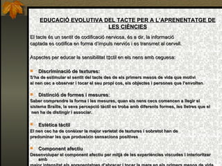 EDUCACIÓ EVOLUTIVA DEL TACTE PER A L’APRENENTATGE DE LES CIÈNCIES El tacte és un sentit de codificació nerviosa, és a dir, la informació  captada es codifica en forma d’impuls nerviós i es transmet al cervell. Aspectes per educar la sensibilitat tàctil en els nens amb ceguesa:   Discriminació de textures:   S’ha de estimular el sentit del tacte des de els primers mesos de vida que motivi  al nen cec a   observar i tocar el seu propi cos, els objectes i persones que l’envolten . Distinció de formes i mesures :   Saber comprendre la forma i les mesures, quan els nens cecs comencen a llegir el  sistema Braille, la seva percepció tàctil es troba amb diferents formes, les lletres que el nen ha de distingir i associar.  Estètica tàctil   El nen cec ha de conèixer la major varietat de textures i sobretot han de  predominar les que produeixin sensacions positives Component afectiu Desenvolupar el component afectiu per mitjà de les experiències viscudes i interioritzar amb  major intensitat els aprenentatges d’abraçar i tocar la mare en els primers mesos de vida. 
