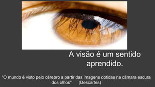 A visão é um sentido
aprendido.
"O mundo é visto pelo cérebro a partir das imagens obtidas na câmara escura
dos olhos" (Descartes)
 