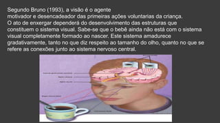 Segundo Bruno (1993), a visão é o agente
motivador e desencadeador das primeiras ações voluntarias da criança.
O ato de enxergar dependerá do desenvolvimento das estruturas que
constituem o sistema visual. Sabe-se que o bebê ainda não está com o sistema
visual completamente formado ao nascer. Este sistema amadurece
gradativamente, tanto no que diz respeito ao tamanho do olho, quanto no que se
refere as conexões junto ao sistema nervoso central.
 