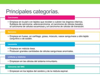 Principales categorías.
• Empieza en la piel o en tejidos que revisten o cubren los órganos internos.
Subtipos de carcinoma: adenocarcinoma, el carcinoma de células basales,
el carcinoma de células escamosas y el carcinoma de células de transición.
Carcinoma
• Empieza en hueso, en cartílago, grasa, músculo, vasos sanguíneos u otro tejido
conjuntivo o de sostén.
Sarcoma
• Empieza en médula ósea.
• Producen grandes cantidades de células sanguíneas anormales.
Leucemia
• Empiezan en las células del sistema inmunitario.
Linfoma y mieloma
• Empiezan en los tejidos del cerebro y de la médula espinal.
Cánceres del SNC
 