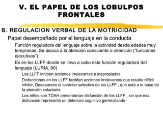 B. REGULACION VERBAL DE LA MOTRICIDAD
Papel desempeñado por el lenguaje en la conducta
Función reguladora del lenguaje sobre la actividad desde edades muy
tempranas. Se asocia a la atención consciente o intención (“funciones
ejecutivas”)
Es en los LLFF donde se lleva a cabo esta función reguladora del
lenguaje (LURIA, 80)
Los LLFF inhiben acciones irrelevantes e inapropiadas
Disfunciones en los LLFF facilitan acciones irrelevantes que resulta difícil
inhibir. Desaparece el carácter selectivo de los LLFF , que está a la base de
la atención voluntaria
Los niños con TDAH presentarían disfunción de los LLFF , sin que esa
disfunción represente un deterioro cognitivo generalizado
V. EL PAPEL DE LOS LOBULPOS
FRONTALES
 
