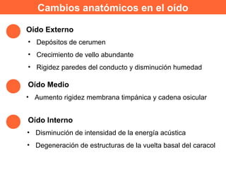 Cambios anatómicos en el oído
Oído Medio
Oído Externo
• Depósitos de cerumen
• Crecimiento de vello abundante
• Rigidez paredes del conducto y disminución humedad
• Aumento rigidez membrana timpánica y cadena osicular
Oído Interno
• Disminución de intensidad de la energía acústica
• Degeneración de estructuras de la vuelta basal del caracol
 