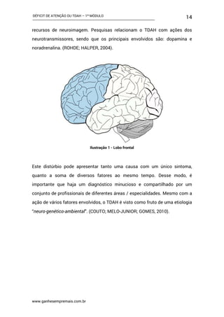 DÉFICIT DE ATENÇÃO OU TDAH – 1º MÓDULO
www.ganhesempremais.com.br
14
recursos de neuroimagem. Pesquisas relacionam o TDAH com ações dos
neurotransmissores, sendo que os principais envolvidos são: dopamina e
noradrenalina. (ROHDE; HALPER, 2004).
Ilustração 1 - Lobo frontal
Este distúrbio pode apresentar tanto uma causa com um único sintoma,
quanto a soma de diversos fatores ao mesmo tempo. Desse modo, é
importante que haja um diagnóstico minucioso e compartilhado por um
conjunto de profissionais de diferentes áreas / especialidades. Mesmo com a
ação de vários fatores envolvidos, o TDAH é visto como fruto de uma etiologia
“neuro-genético-ambiental”. (COUTO; MELO-JUNIOR; GOMES, 2010).
 