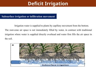 deficit irrigation-deficit irrigation jr.pptx