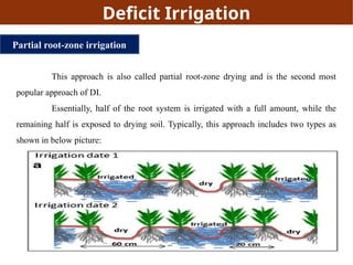 deficit irrigation-deficit irrigation jr.pptx