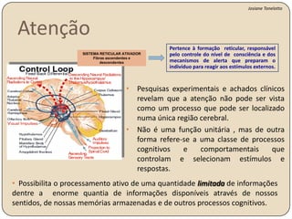 Como a atenção influencia no que e como aprendemos?