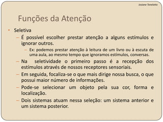 A falta de atenção tem impactos sobre a aprendizagem? atençãoTranstorno do déficit de atenção com e sem hiperatividade (TDAH)O que é? E o que causa?
