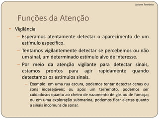Quais as características principais?