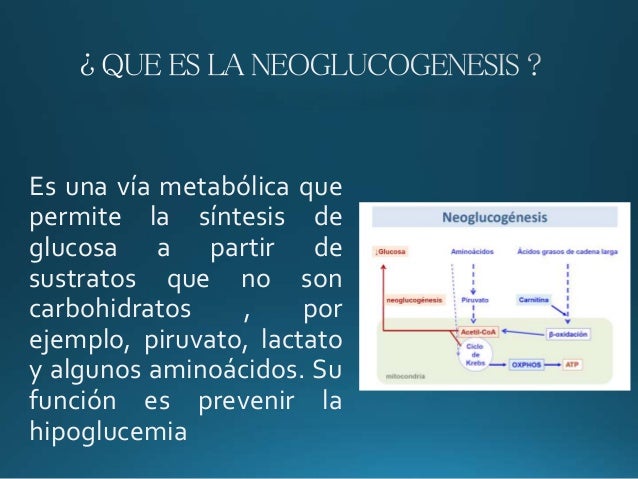 Defieciencia de piruvato carboxilasa