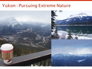 Yukon : Pursuing Extreme Nature
 