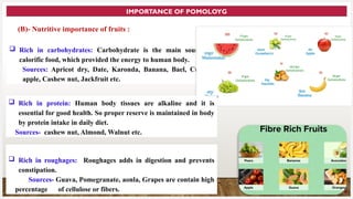 Pomology Examples Defination and importance of pomology.pptx