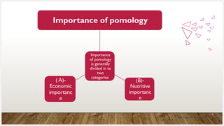Pomology Examples Defination and importance of pomology.pptx