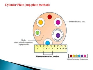 Cylinder Plate (cup plate method)
 
