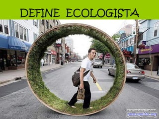 DEFINE  ECOLOGISTA 