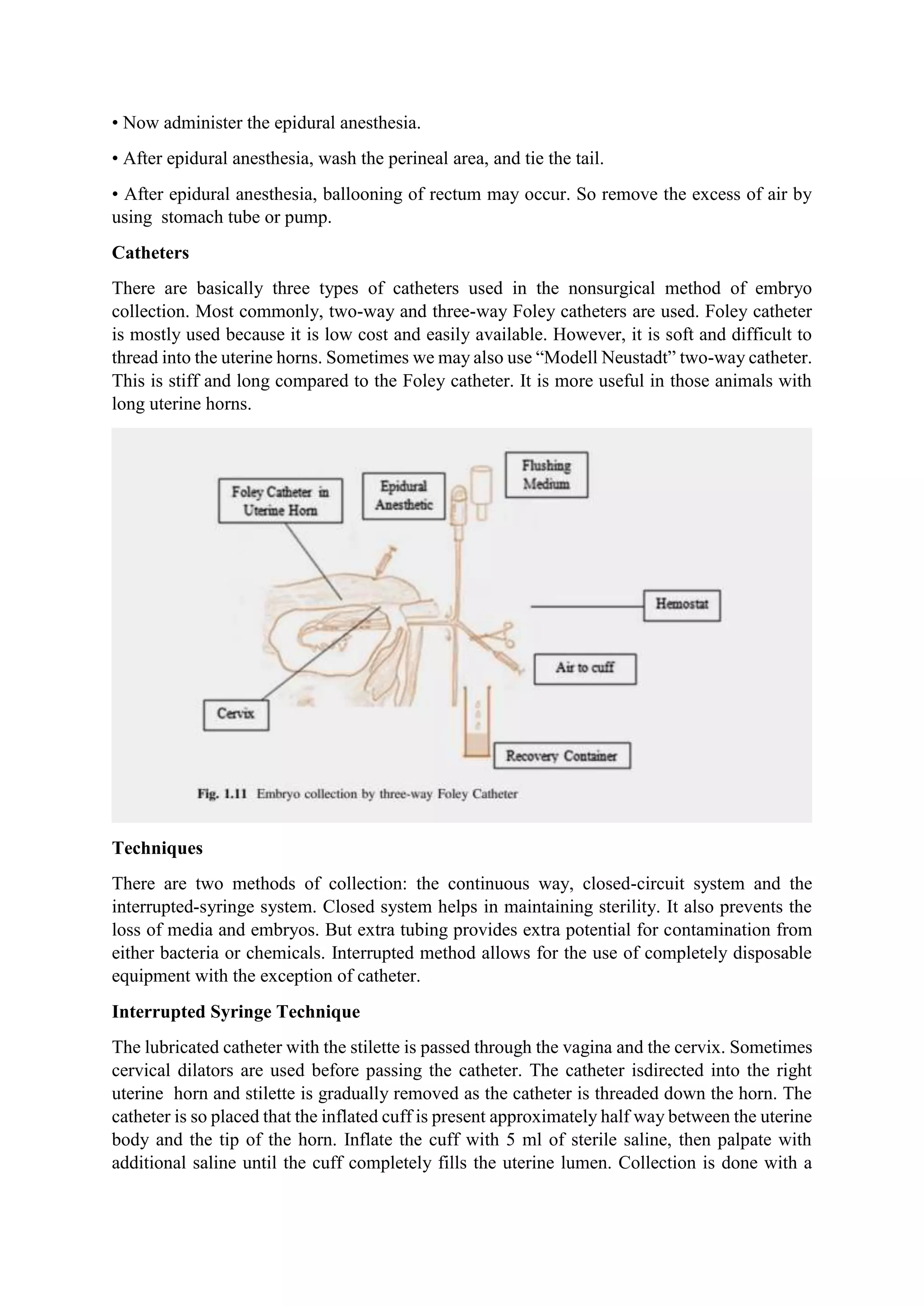 • Now administer the epidural anesthesia.
• After epidural anesthesia, wash the perineal area, and tie the tail.
• After epidural anesthesia, ballooning of rectum may occur. So remove the excess of air by
using stomach tube or pump.
Catheters
There are basically three types of catheters used in the nonsurgical method of embryo
collection. Most commonly, two-way and three-way Foley catheters are used. Foley catheter
is mostly used because it is low cost and easily available. However, it is soft and difficult to
thread into the uterine horns. Sometimes we may also use “Modell Neustadt” two-way catheter.
This is stiff and long compared to the Foley catheter. It is more useful in those animals with
long uterine horns.
Techniques
There are two methods of collection: the continuous way, closed-circuit system and the
interrupted-syringe system. Closed system helps in maintaining sterility. It also prevents the
loss of media and embryos. But extra tubing provides extra potential for contamination from
either bacteria or chemicals. Interrupted method allows for the use of completely disposable
equipment with the exception of catheter.
Interrupted Syringe Technique
The lubricated catheter with the stilette is passed through the vagina and the cervix. Sometimes
cervical dilators are used before passing the catheter. The catheter isdirected into the right
uterine horn and stilette is gradually removed as the catheter is threaded down the horn. The
catheter is so placed that the inflated cuff is present approximately half way between the uterine
body and the tip of the horn. Inflate the cuff with 5 ml of sterile saline, then palpate with
additional saline until the cuff completely fills the uterine lumen. Collection is done with a
 