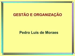 Pedro Luis de Moraes
GESTÃO E ORGANIZAÇÃO
 