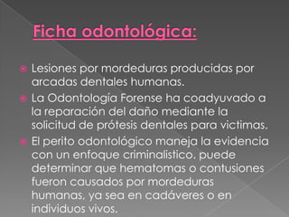 Odontologia Forense